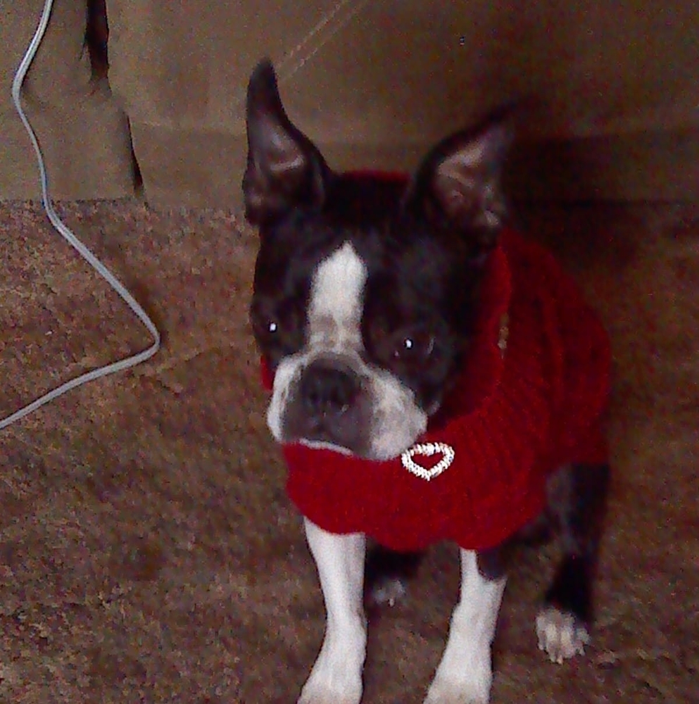 Meet your Posher, Tracey